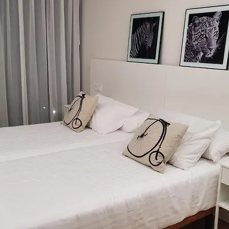 Cies Luxury Suitel Lily Rodsen - Your